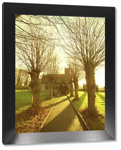 Village of Baxterley nr. Tamworth. Trees casting a shadow on the pathway leading to