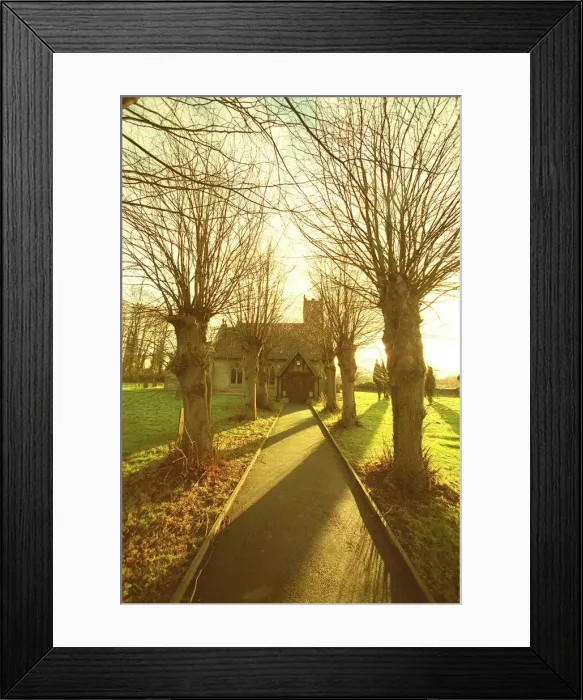 Framed Print : Village of Baxterley nr. Tamworth. Trees casting a shadow on the pathway leading to Framed Print : Village of Baxterley nr. Tamworth. Trees casting a shadow on the pathway leading to
