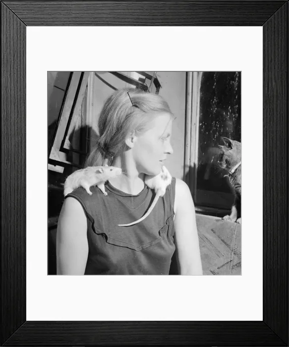 Framed Print : Josephine Curzon from Maidenhead who keeps rats for a hobby 1963 Framed Print : Josephine Curzon from Maidenhead who keeps rats for a hobby 1963