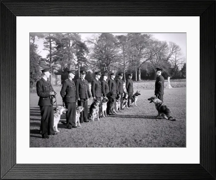 Framed Print : Training is finished for the day at the staffordshire police centre Framed Print : Training is finished for the day at the staffordshire police centre