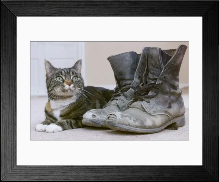 Framed Print : Safe and sound and watching the building work from a safe distance Framed Print : Safe and sound and watching the building work from a safe distance