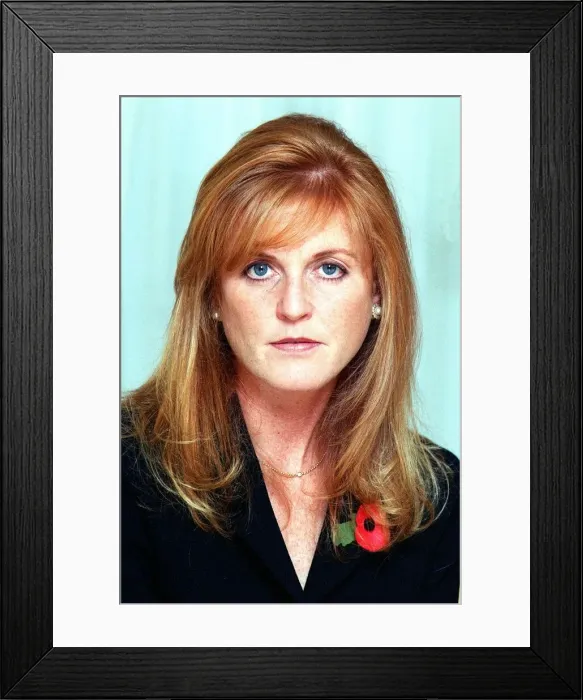 Framed Print : The Duchess of York at home November 1997 Framed Print : The Duchess of York at home November 1997