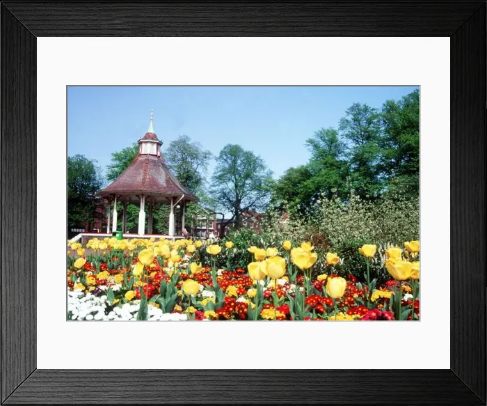 Framed Print : Chapel Field Gardens Norwich Framed Print : Chapel Field Gardens Norwich