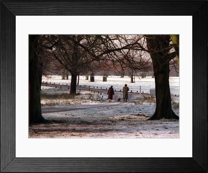 Framed Print : Richmond Park London in snow Framed Print : Richmond Park London in snow