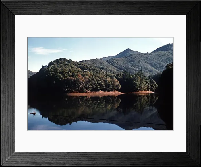 Framed Print : Rural scene near San Francisco, California United States of America Framed Print : Rural scene near San Francisco, California United States of America
