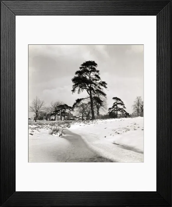 Framed Print : Wintery scene in a park in Hertfordshire, Winter circa 1958 Framed Print : Wintery scene in a park in Hertfordshire, Winter circa 1958