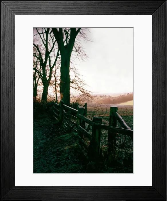 Framed Print : Country Scenes - Forest Circa 1971