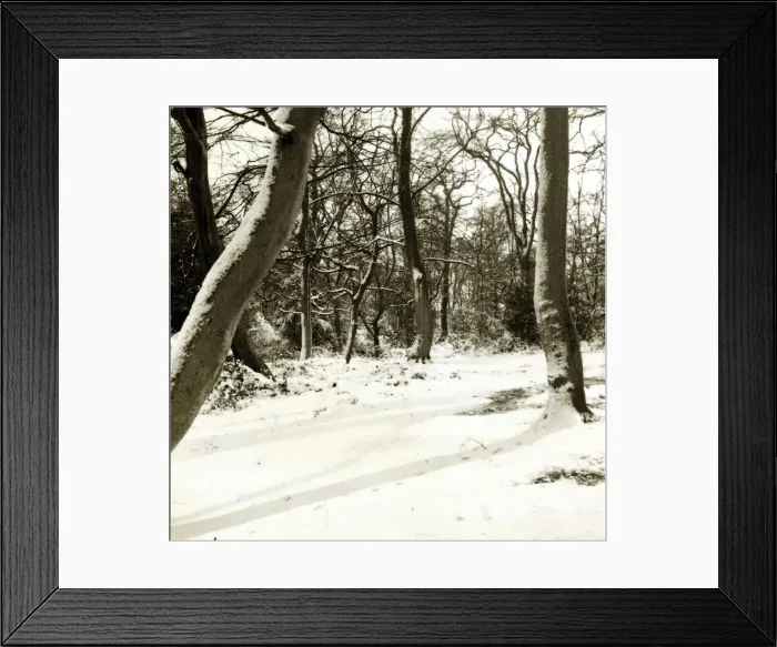 Framed Print : Hadley Common in Hertfordshire, Winter Framed Print : Hadley Common in Hertfordshire, Winter