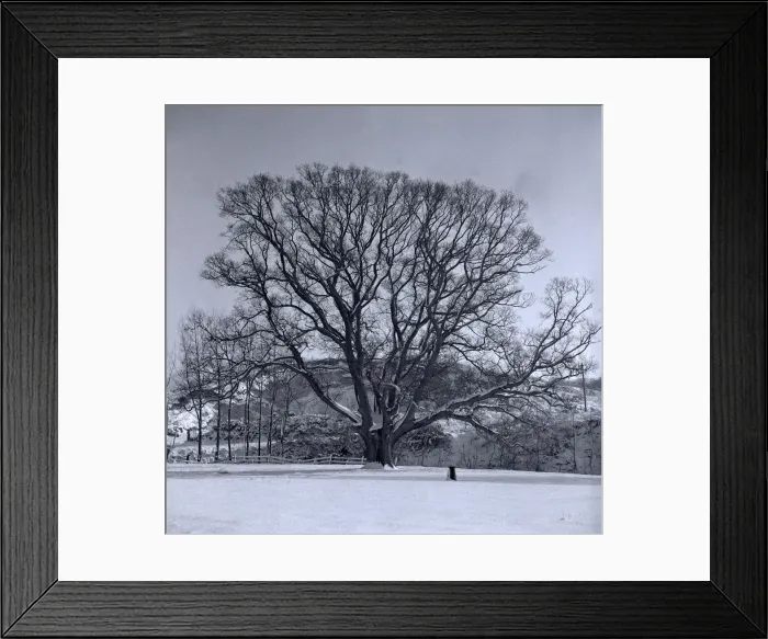 Framed Print : Snow scene at Sandy Hatch lane near Ashford Hertfordshire circa 1958 Framed Print : Snow scene at Sandy Hatch lane near Ashford Hertfordshire circa 1958