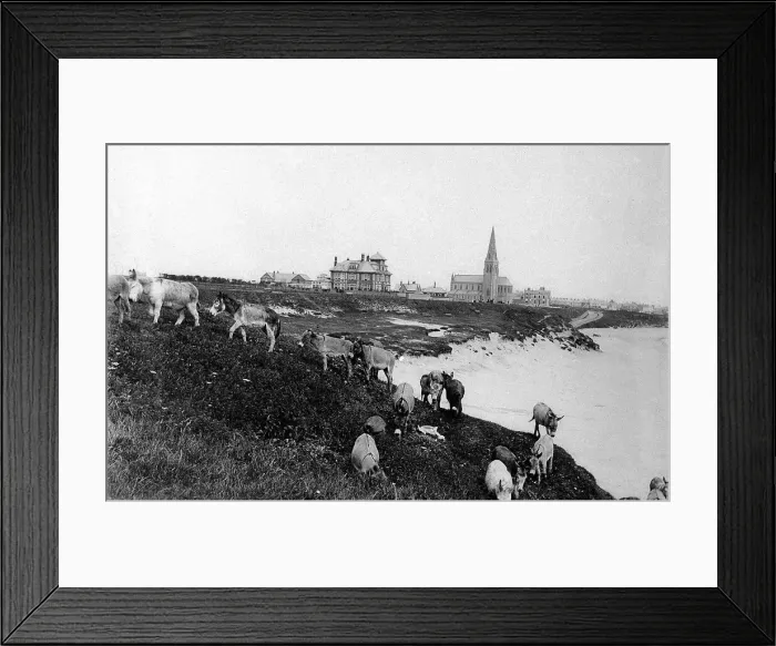 Framed Print : The Long Sands at Tynemouth during the 1870s Framed Print : The Long Sands at Tynemouth during the 1870s
