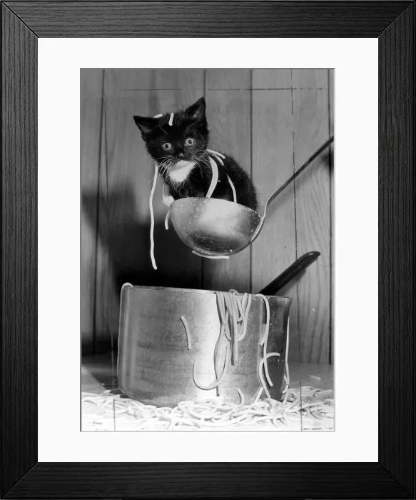 Framed Print : Waiter theres a kitten in my spaghetti! This is a low res scan Framed Print : Waiter theres a kitten in my spaghetti! This is a low res scan