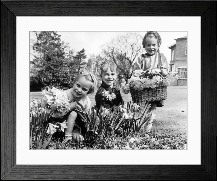 Framed Print : Carol, Ken and Kathleen Atess, aged four, eight and six, three children from Dr Framed Print : Carol, Ken and Kathleen Atess, aged four, eight and six, three children from Dr