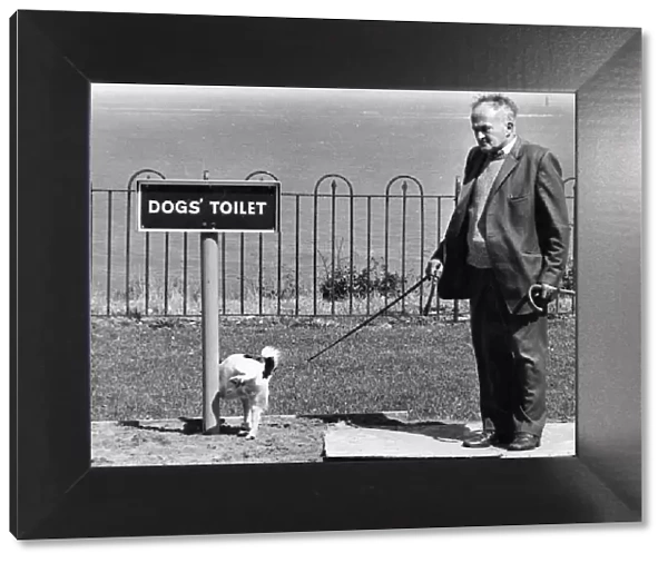 The dog toilet at Penarth sea front. June 1985