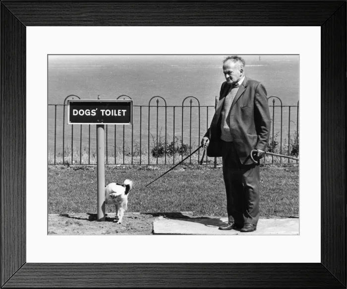 Framed Print : The dog toilet at Penarth sea front. June 1985 Framed Print : The dog toilet at Penarth sea front. June 1985