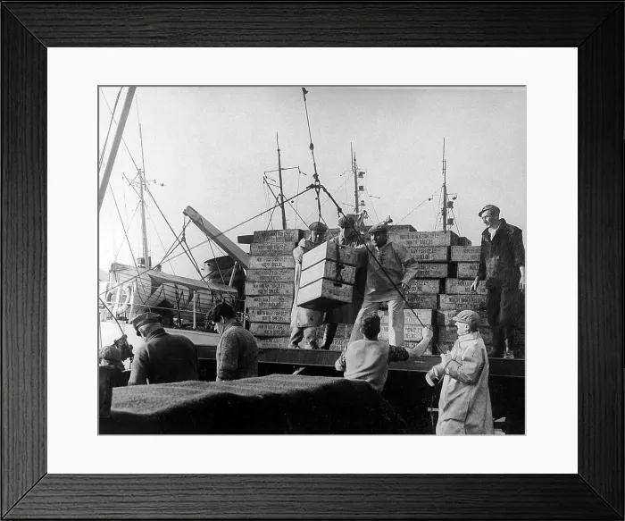 Framed Print : North Shields Fish Quay c. 1955 Framed Print : North Shields Fish Quay c. 1955