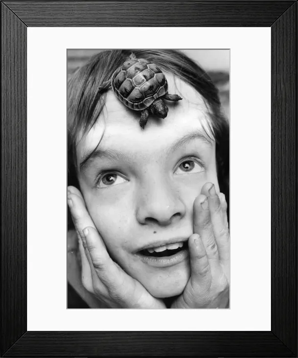 Framed Print : Tortoise - Nipper the baby tortoise pictured with his owner, Mr Len Smith - 14th Feb 1979 Framed Print : Tortoise - Nipper the baby tortoise pictured with his owner, Mr Len Smith - 14th Feb 1979