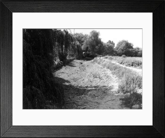 Framed Print : Death of a river July 1976 The Darent at Farningham Framed Print : Death of a river July 1976 The Darent at Farningham