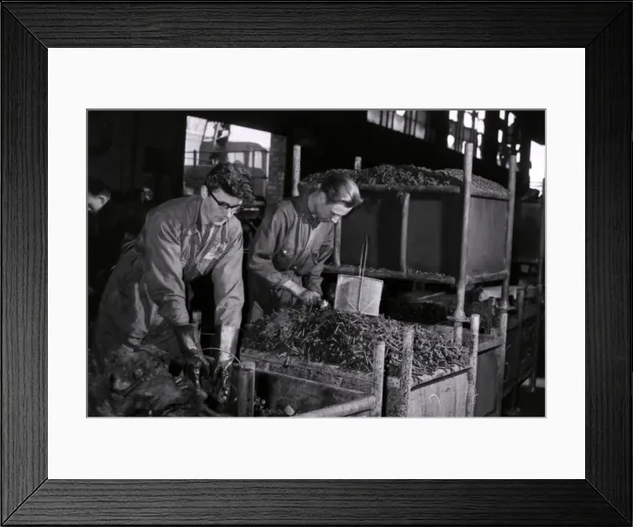 Framed Print : Only a few hours after Coventry firemen had doused the last of the flames Framed Print : Only a few hours after Coventry firemen had doused the last of the flames