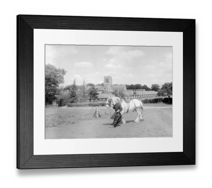 : Father Edmunds walks a shire horse through the fields at Mount Saint Bernard Monastery in : Father Edmunds walks a shire horse through the fields at Mount Saint Bernard Monastery in