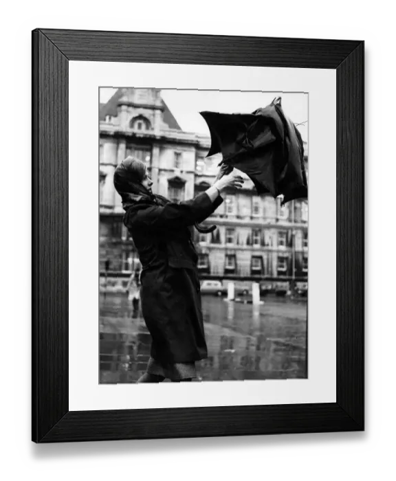 Framed Print : Weather - A young woman struggles with her umbrella during the stormy weather outside Framed Print : Weather - A young woman struggles with her umbrella during the stormy weather outside