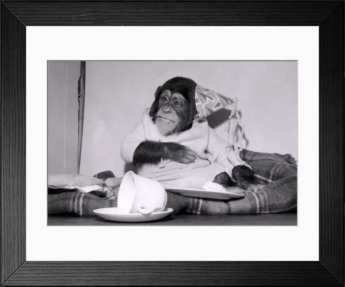 Framed Print : Tilly was centre of attention when we visited the Janet Faye Childrens Party