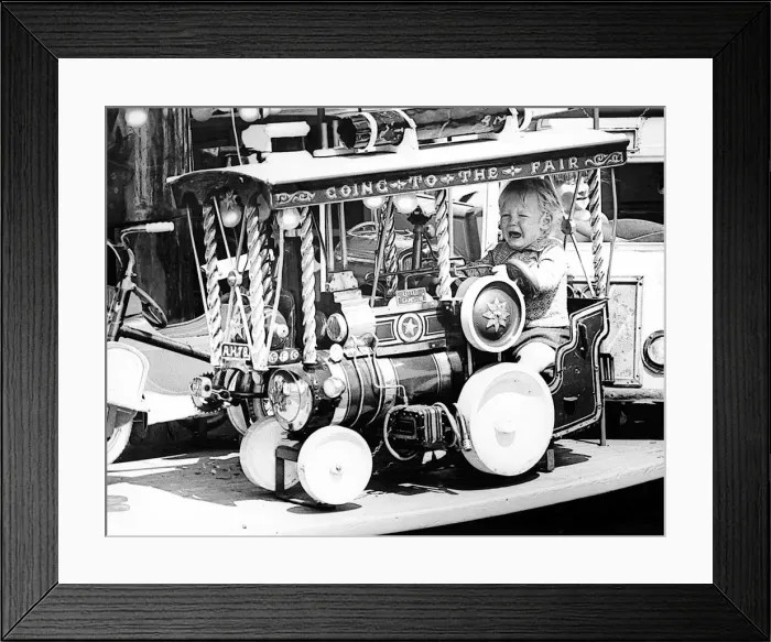 Framed Print : One little boy didn t go too much on the roundabouts on the Town Moor Framed Print : One little boy didn t go too much on the roundabouts on the Town Moor