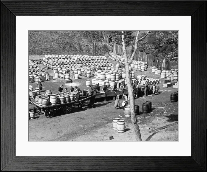 Framed Print : These barrels at Tanners Bank Dene, in 1937, are an overflow of herring from North Framed Print : These barrels at Tanners Bank Dene, in 1937, are an overflow of herring from North