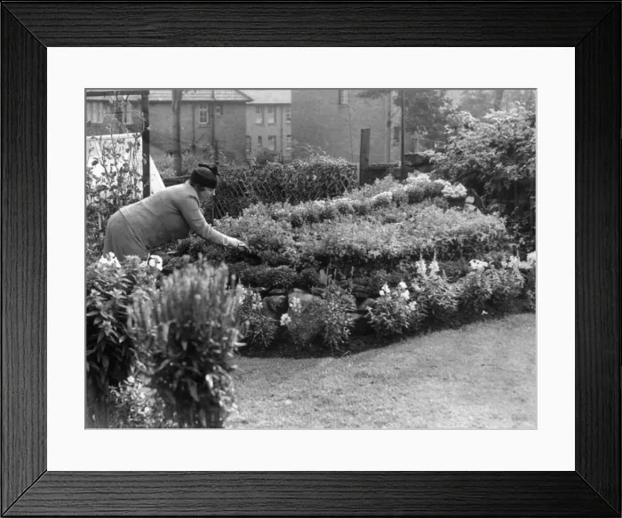 Framed Print : The Best-Kept Gardens'contest for Condercum Estate, Newcastle Framed Print : The Best-Kept Gardens'contest for Condercum Estate, Newcastle