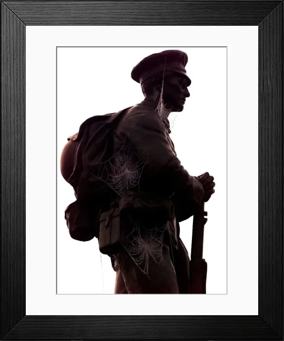Framed Print : Cobwebs kept frozen on Ironbridge war memorial by the freezing fog that surrounded