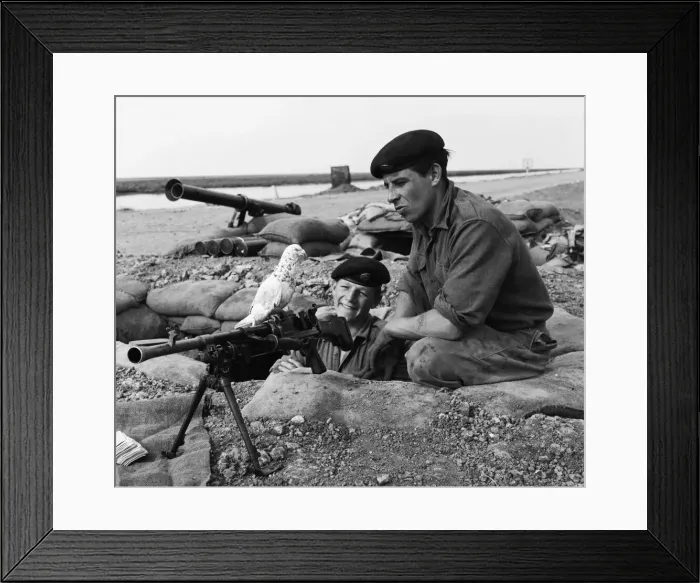 Framed Print : Suez Crisis 1956 British soldiers Peter Hawley (left) and Harry Perkins Framed Print : Suez Crisis 1956 British soldiers Peter Hawley (left) and Harry Perkins