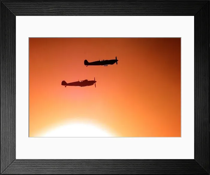 Framed Print : A Spitfire and ME109 (bottom) fly over the war memorial, with a low autumnal sun behind Framed Print : A Spitfire and ME109 (bottom) fly over the war memorial, with a low autumnal sun behind