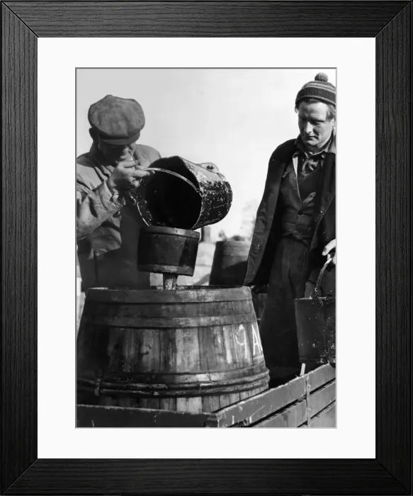 : Cider fortnight, when the men of the village combine to convert the harvest of hundreds : Cider fortnight, when the men of the village combine to convert the harvest of hundreds