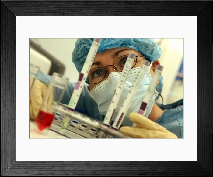 Framed Print : Quality Control technician Lindsey Hales, pictured at work at Biotrace, Bridgend Framed Print : Quality Control technician Lindsey Hales, pictured at work at Biotrace, Bridgend