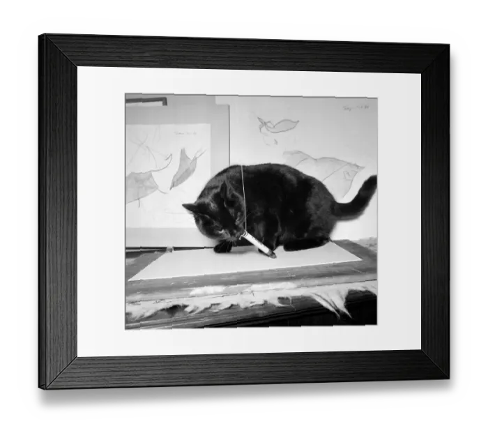 Framed Print : The Wonder-Cat Topsy the cat has had his drawings exhibited at an Art exhibition in Framed Print : The Wonder-Cat Topsy the cat has had his drawings exhibited at an Art exhibition in
