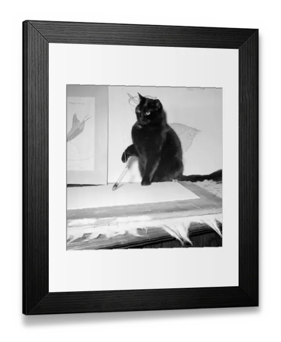 Framed Print : The Wonder-Cat Topsy the cat has had his drawings exhibited at an Art exhibition in Framed Print : The Wonder-Cat Topsy the cat has had his drawings exhibited at an Art exhibition in