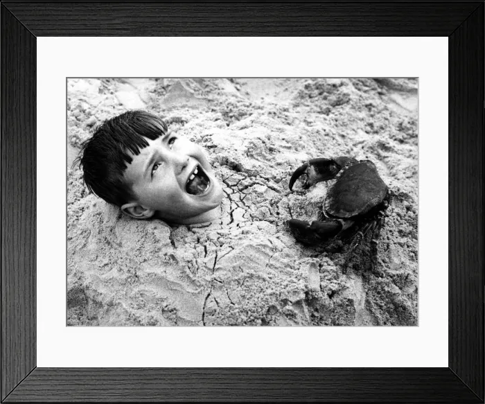 Framed Print : Children on the beach - Young boy burried in the sand with just his head out Framed Print : Children on the beach - Young boy burried in the sand with just his head out