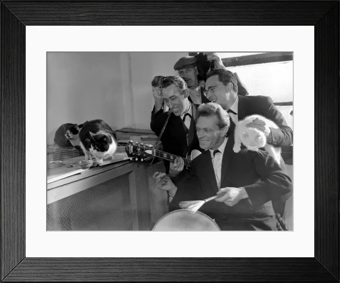 Framed Print : Four men entertain the cats at Whittlesey with a guitar Framed Print : Four men entertain the cats at Whittlesey with a guitar