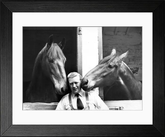 Framed Print : Brewery horses Duke and Adam share a joke with the stablehand Framed Print : Brewery horses Duke and Adam share a joke with the stablehand