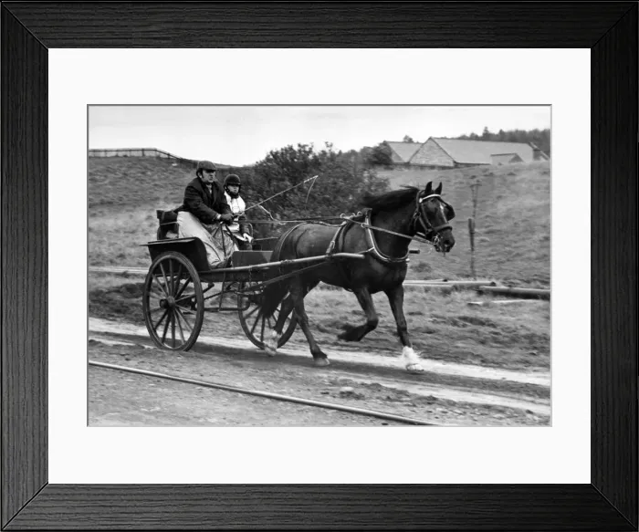 Framed Print : A horse and carriage