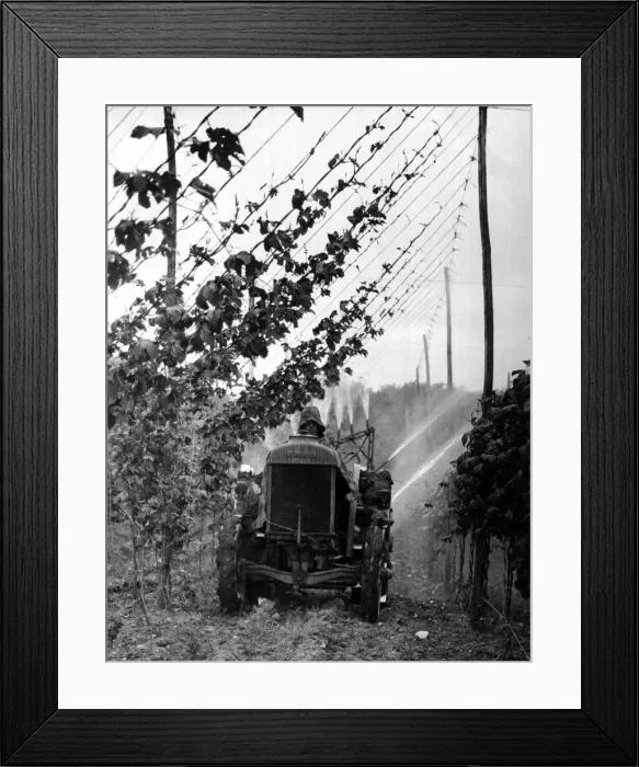 Framed Print : Modern machine for spraying hops to protect them against greenfly