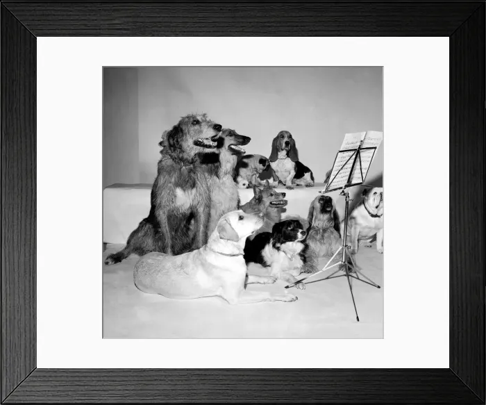 Framed Print : The Barking and Houndsditch Choral Society A new record is being released called Framed Print : The Barking and Houndsditch Choral Society A new record is being released called