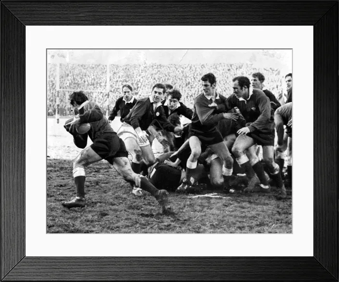 Framed Print : Wales v Scotland Five Nations Rugby Union match. Gareth Edwards sets off Framed Print : Wales v Scotland Five Nations Rugby Union match. Gareth Edwards sets off