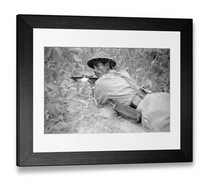 Framed Print : Pakistan - Bangladesh Civil War 15th June 1971 A large area of East Pakistan Framed Print : Pakistan - Bangladesh Civil War 15th June 1971 A large area of East Pakistan