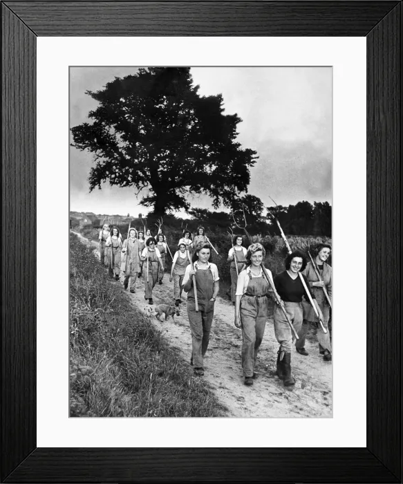Framed Print : Land girls on their way home from the field in military area East Anglia The crops