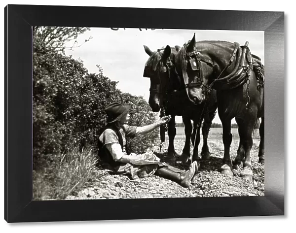 A farmer takes a break with his 2 horses after ploughing his field. circa 1934