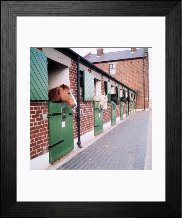 Framed Print : Horses in a stable - 1968 Framed Print : Horses in a stable - 1968