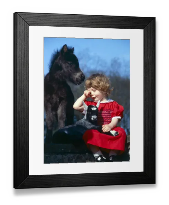 Framed Print : Little girl hugging pygmy goat kid with miniature horse April 1981 Framed Print : Little girl hugging pygmy goat kid with miniature horse April 1981