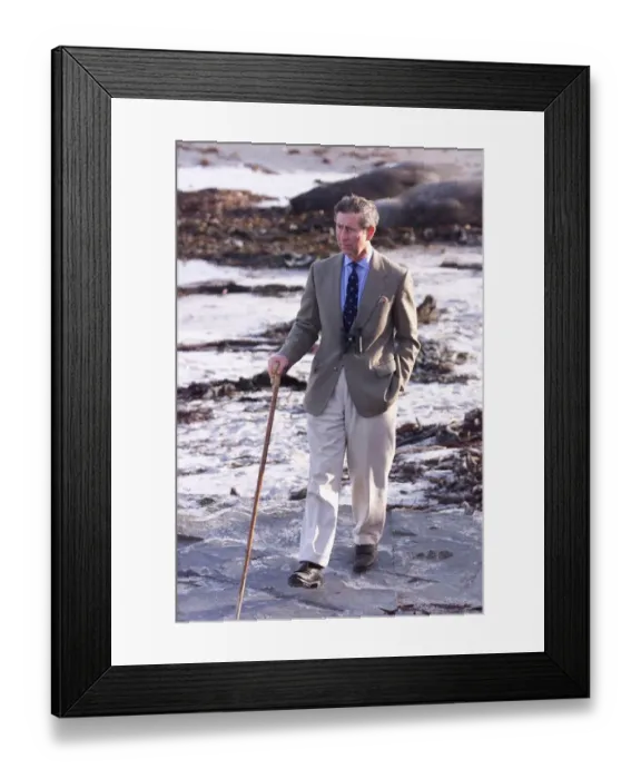Framed Print : Prince Charles on Seal Island in March 1999 Falkland Islands