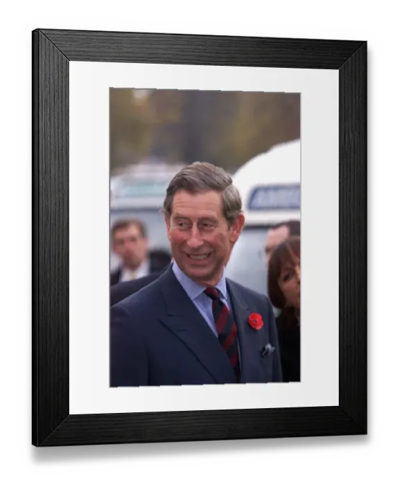 Framed Print : Prince Charles arrives in Bulgaria for overseas visit, November 1998 Wearing poppy