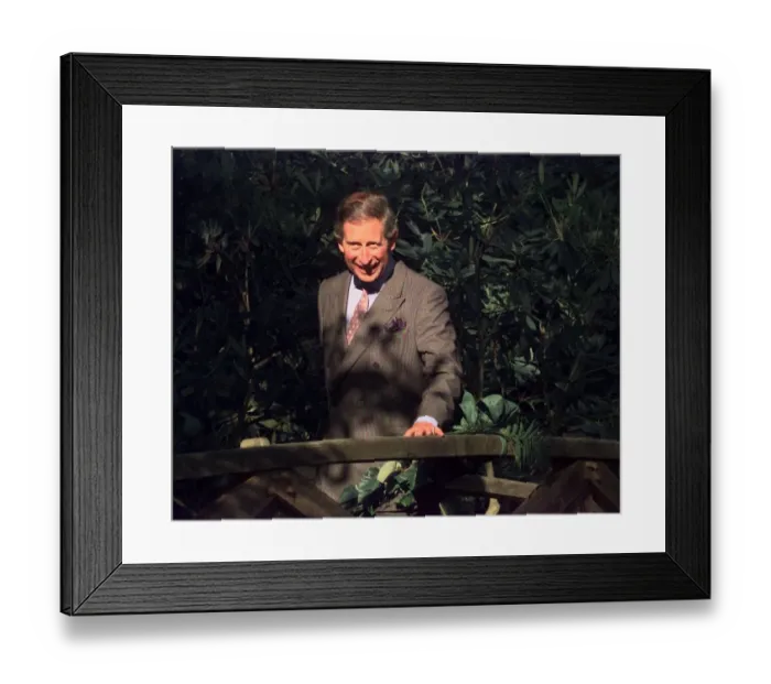 Framed Print : Prince Charles at Powis Castle standing beside wooden fence July 1998